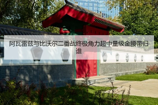 阿瓦雷兹与比沃尔二番战终极角力超中量级金腰带归谁